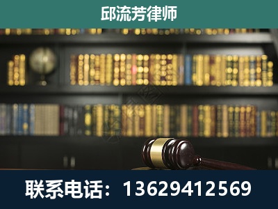 芒-经济类案件